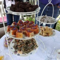 1610 Rondleiding en high tea in Costerustuin